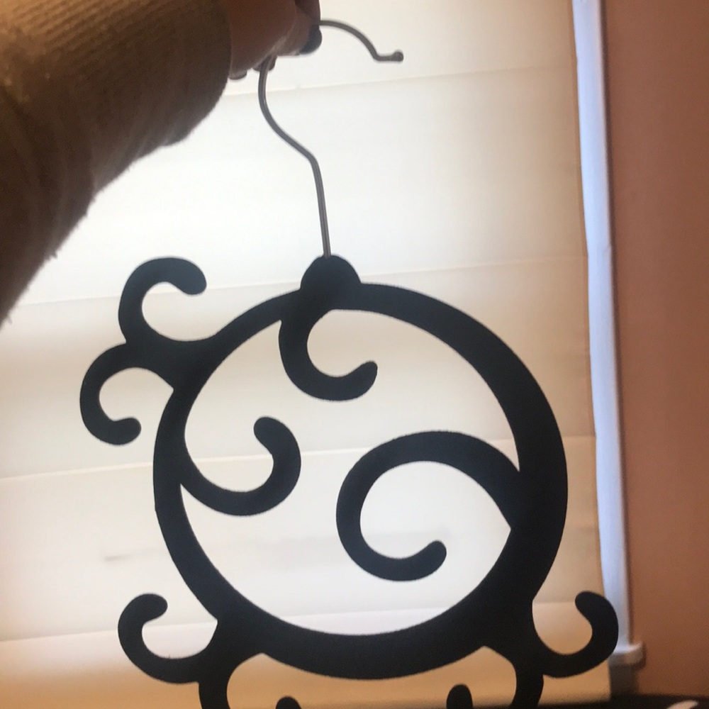 Scarf or Belt Hanger Organizer